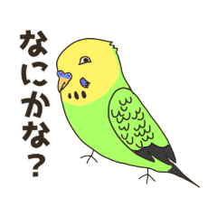 うちの鳥さんとお友達