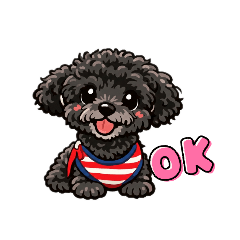 Black toy poodle!!!!!