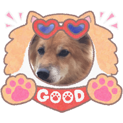 Chika_20260208160140