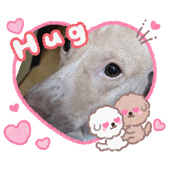 糖糖（日常篇）