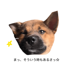 ayana_20260209205510