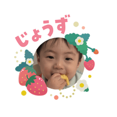 miya_20260208173950