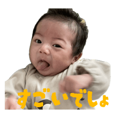 koala_20260209131236