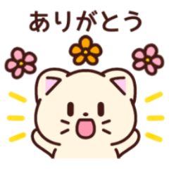 かわいい*ネコさん*日常