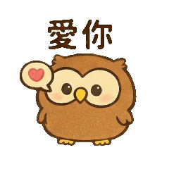 貓頭鷹情侶《呼嚕嚕 & 朵嚕嚕：甜蜜日常》