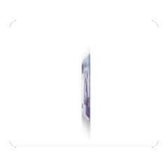 新台幣翻轉動態貼圖