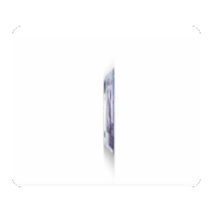 新台幣翻轉動態貼圖.