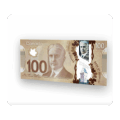 CANADIAN CURRENCY FLIP DYNAMIC STICKER