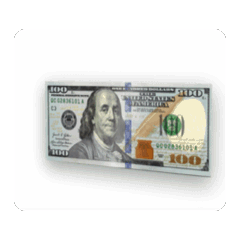 US DOLLAR FLIP DYNAMIC STICKER