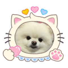 樂樂&熊熊～皮皮