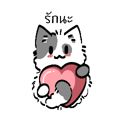 Moon halo_20260209152435