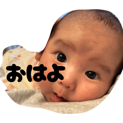 meisa_20260209230846