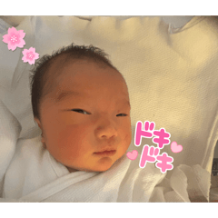 nobuya_20260209230946