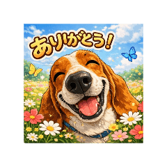 hanaya_20260209012025