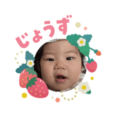 tacha_20260209084806