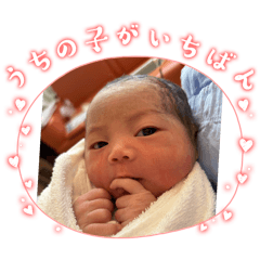 sorairo_20260207090535