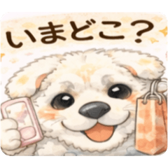 Pokomaru_20260209132854