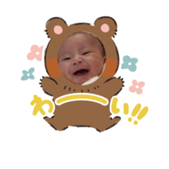 momo_20260209153034