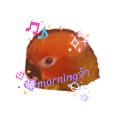 Cute little bird_20260209154943