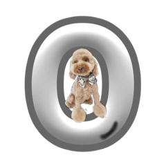 KUROSAKI-P_20260209153518