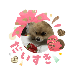 Kenta_20260210003929