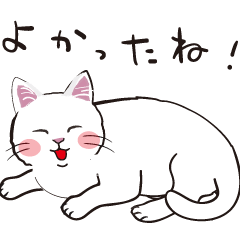 Various cat greetings and conversations