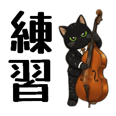 Mahogany House_20260209150243