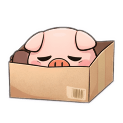 kazuya75_20260209150351