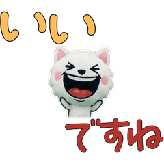 อเมริกันเคิร์ล สุภาพ 12