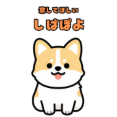Shiba-Poyo Silent Reactions