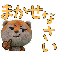 โคอาติ สุภาพ 11