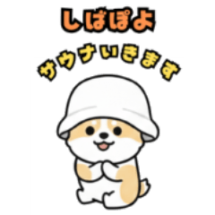 Shiba-Poyo the Sauna Lover