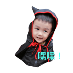 寶貝窩Hank