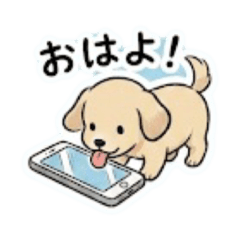 Yuyann_20260209163041