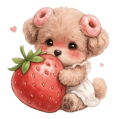 Beloved Toy Poodle Strawberry