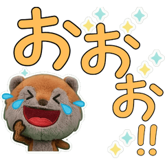 Moving Polite Coati 12