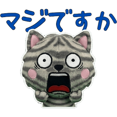 Moving Polite Amesho 12