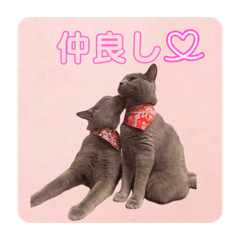 nyanko_20260209175747