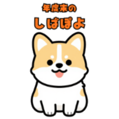 Shibapoyo A Bit Busy