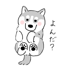 you_20260209195646