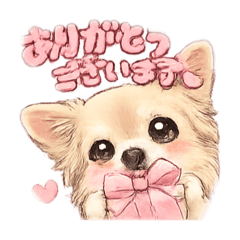 English_202602092002999