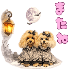 ココミル いつも一緒♡