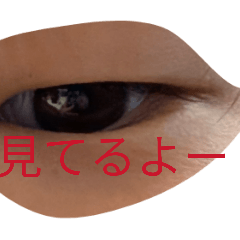 asapi_20260210075741