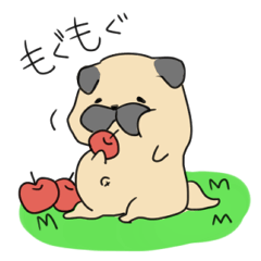 Sticker of a pug liking an apple