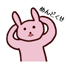 mayuko_20260209180219