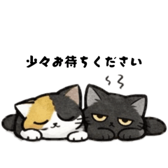 s.s atsu_20260209185535