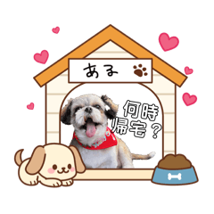 mahinayasumoto_20260209190301