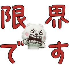 Moving Polite Angora 12