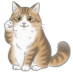 Norwegian Forest Cat #2