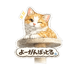 Winky Soichiro | Gentle Hakata Dialect